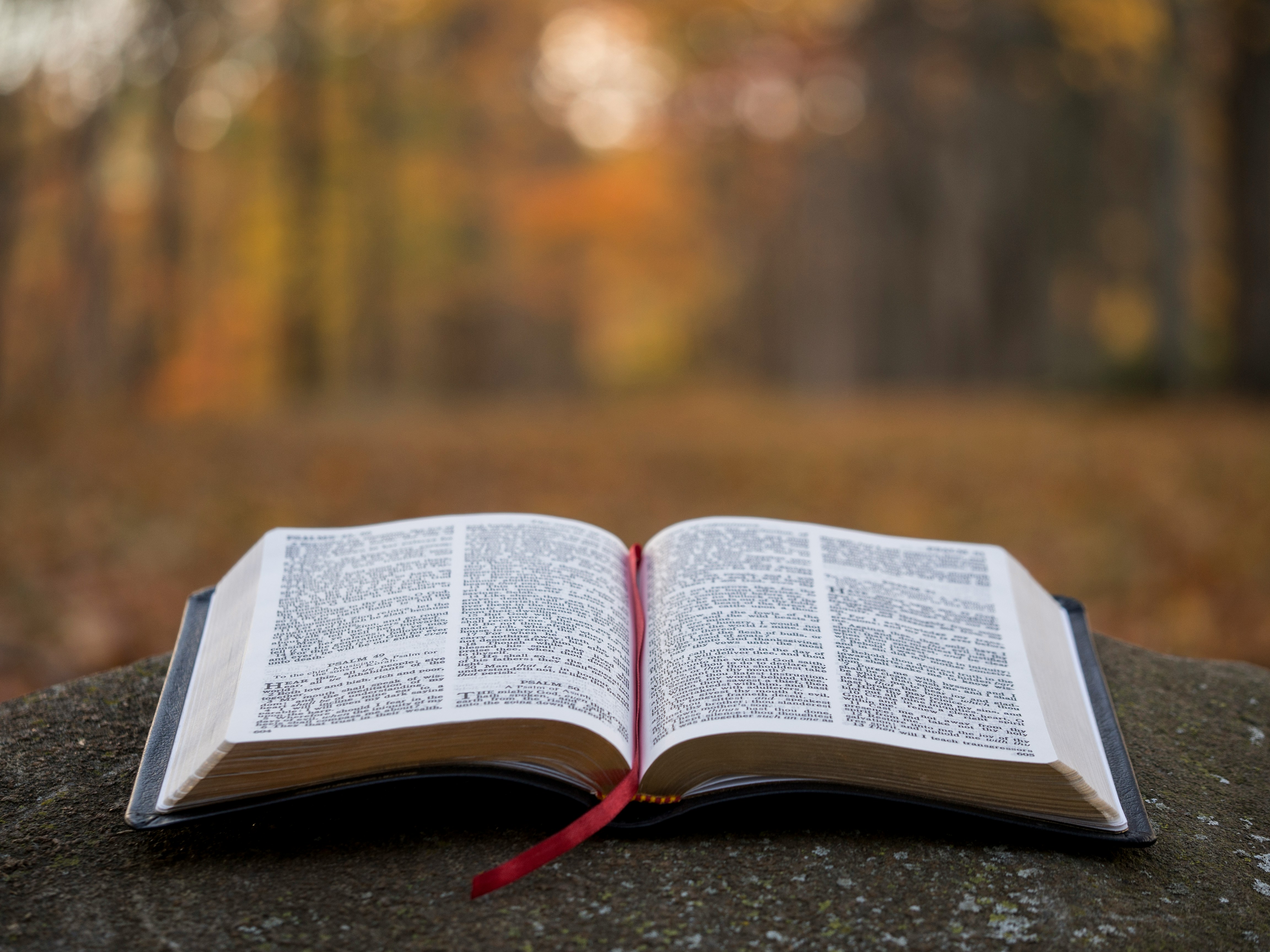       THE SERMON FOR 20th SUNDAY YEAR A